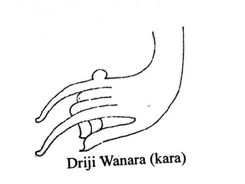 hands-driji wanara-monkey hand-sunarto 118